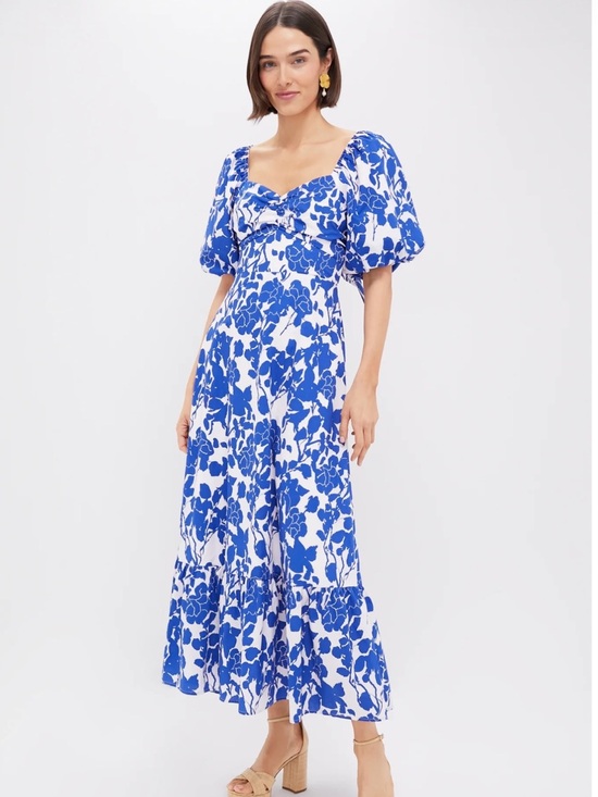 Hyacinth House Dresses & Skirts - Hyacinth House Blue Floral Seaport Midi dress